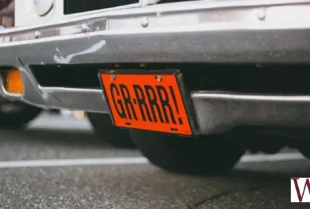 Partially Obstructed License Plate Does Not Justify Motor Vehicle Stop